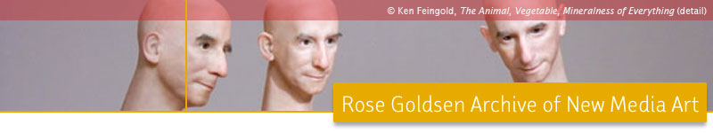 Rose Goldsen Archive of New Media Art